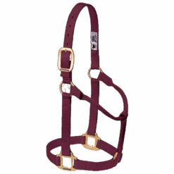 Weaver Original Non-Adjustable 1" Halter Large