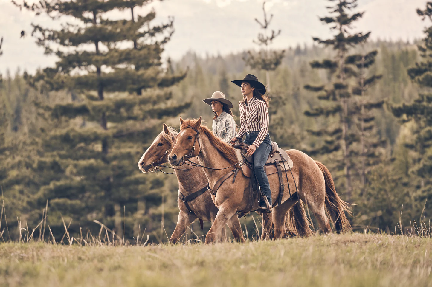 Wildwest Boot Store -Wildwest Boot Store