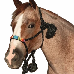 Professional's Choice Cowboy Braided Halter With 10' Lead Black/Serape